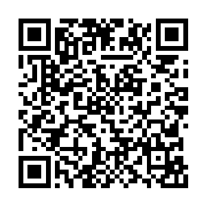 各种各样的法宝和仙器在森罗万象之中冒出宝光二维码生成