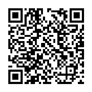 各种平时难得一见的珍贵丹药自然也是必不可少的二维码生成