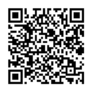 各种排量各种型号适应各种需要的烛油发动机大量出现二维码生成