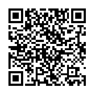 各种陷阱题目……包括早上难度那么高的语文试卷二维码生成