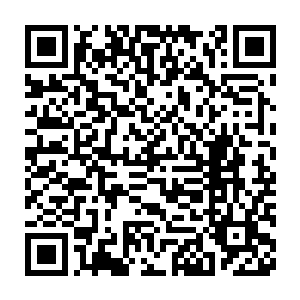 各自在对方子弟身上扯皮扯到蛋疼的宗主们总算听到了不一样的腔调二维码生成