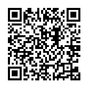 各自带领着自己的手下去狩猎小白兔群……实力如此悬殊二维码生成