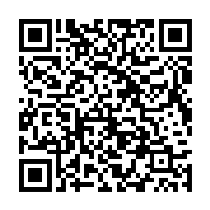 各自水军就在湘河的这段平缓水域展开了激烈对决二维码生成