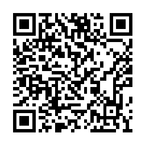 各自率领着800万惩戒军和100万巡逻军加入了战团二维码生成