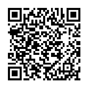 各自贡献出了一艘天级战舰和大批的国士级侍卫二维码生成