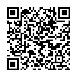 各自趴在自己的牢房窗口前朝杨开所在的方位张望二维码生成