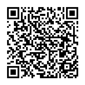 各色羽毛的野鸭鸳鸯或者别的水鸟大摇大摆走在满是慢跑和骑车的人的小道上二维码生成