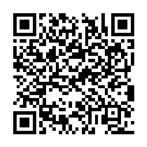 各路军团还是有条不紊地朝通往破碎天的门户行去二维码生成