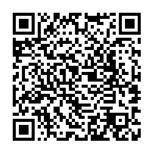 各路山主要各率两名得力手下护送府主将整个南宣府收缴的愿力珠押往镇乙殿二维码生成