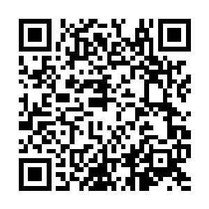 合体境界之前和之后的实力差距可是十分的恐怖的二维码生成