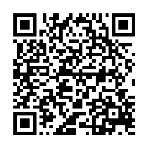 合体期的仙士是不会冒险进入到这个未经开发的上古密地的二维码生成