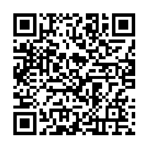 合共足有百亩沉疴异莲竟悉数被那一片氤氲紫气笼罩二维码生成
