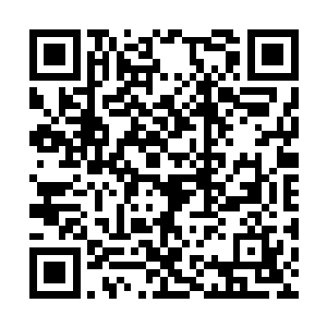 合成去铁酮的一种活性物质只是万里长征的第一步二维码生成