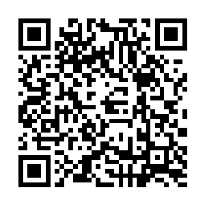 合欢老鬼的脸上也扫过了一眼他们四个人手中的法宝二维码生成