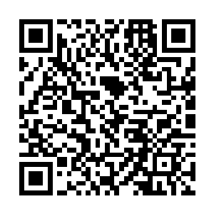 合约里有写她可以要求参加编剧吗――我不太想要她二维码生成