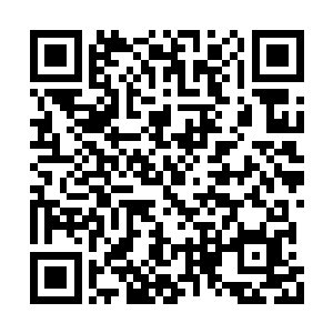 吉尔伯特也不会无缘无故就给他这么多贡献点的二维码生成