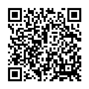 吉尔罗伊――这个一整晚都有些冷峻的儒雅中年人二维码生成