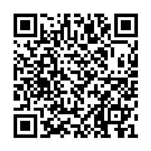 吉布提方面对大国在本国建立军事基地并不抵触二维码生成