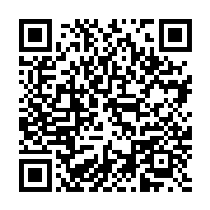 吉布森以为他的经纪人是caa的掌控者就可以对我指手画脚吗二维码生成