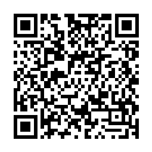 吊着胳膊的蒋天生从兜里掏出一款最新款的爱疯五递给赵长枪二维码生成