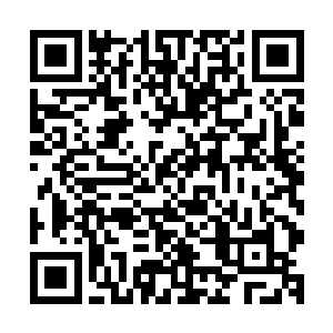 同一个指挥官不会在一场战斗之中体现出两种不同的战术思想二维码生成