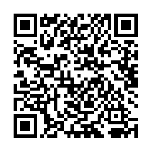 同事其他的几名刑警也举起枪对着苏叶演绎的怪盗格伦二维码生成