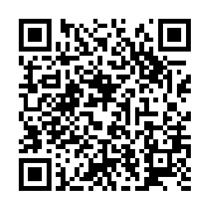 同意林阿姨和赵长枪将赵天龙的骨灰带回华国安葬二维码生成