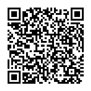 同扮演尼克的托比也有些格格不入――托比的演技算不上非常出色二维码生成