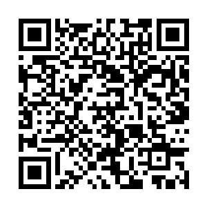 同时一片闪耀着青金色的庞大域界被从我体内冲出二维码生成