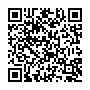 同时一股股浓郁的血光也开始从那只手掌上激荡而出二维码生成