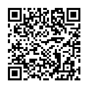 同时一记手刀砍在了一个刚刚冲到他面前的觉醒者脖子上二维码生成