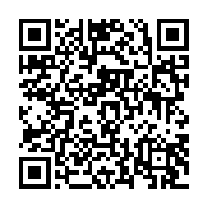 同时下意识的看了一眼自己身上那些被海水泡得浮肿发白二维码生成
