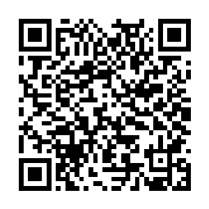 同时不少资源被他化作天地元气直接补充气海灵气二维码生成