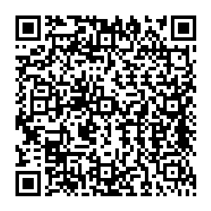 同时不断的通过混沌筑基丹的力量将孙雅儿体内的能量转化成精纯的修真者才能够拥有的真元二维码生成