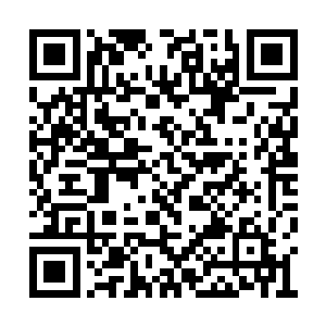 同时也与浙时省长王明康一道召开了一个座谈会二维码生成