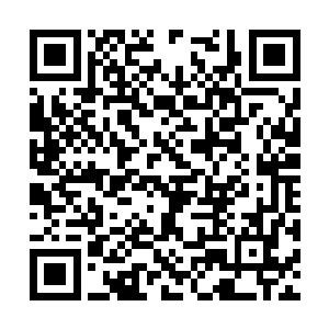同时也会为未来十年的社会经济事业发展定下基调二维码生成