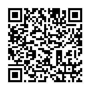 同时也发现了一直束缚在自己后脑勺上的锁链竟然不存在了二维码生成