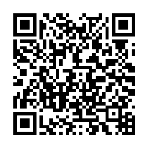 同时也在积极和欧振国以及他的几个朋友联系游说二维码生成