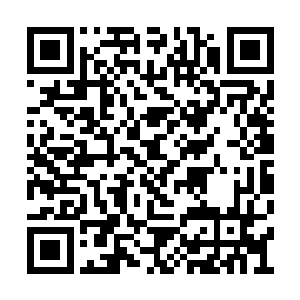 同时也已经将周围大大小小的帮派势力全部收编二维码生成