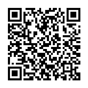 同时也延续了安娜一帕奎因这个年幼新星拿下最佳女配角的传统二维码生成