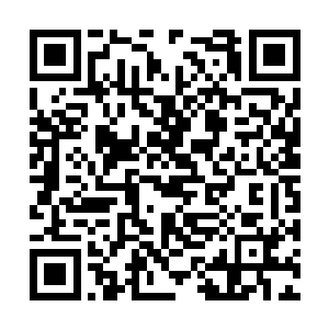 同时也打算看一看在这里修炼的美女们进度如何了二维码生成