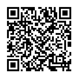 同时也无法忍受雨果过去三年时间的沉沦和低迷二维码生成