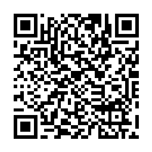 同时也明白了军中的那些能独当一面的前辈们干什么去了二维码生成