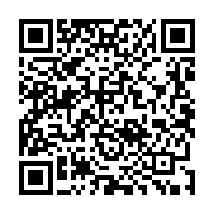 同时也是在向其他的势力展现他们龙虎山本事的大好时机二维码生成