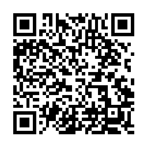 同时也是希望你能够给与他们相当政治思想教育的原因所在二维码生成