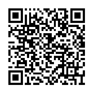 同时也是注意到了站在旁边的大儿媳和两个孩子二维码生成