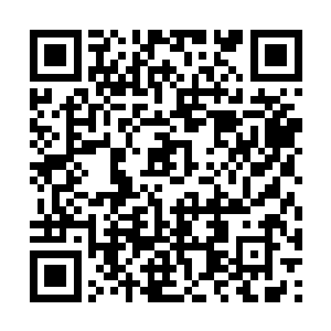 同时也是用毒逼剑尘交出王者之兵失败的那名老者二维码生成