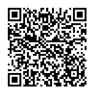 同时也正是因为这些势力的存在才使得神州域屹立于天域中而不倒二维码生成