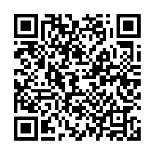 同时也猜测起了黄埔无恨为什么之前还逼着自己来部队二维码生成