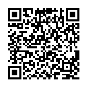 同时也让他更加清楚的看到了上等神王草的珍贵二维码生成
